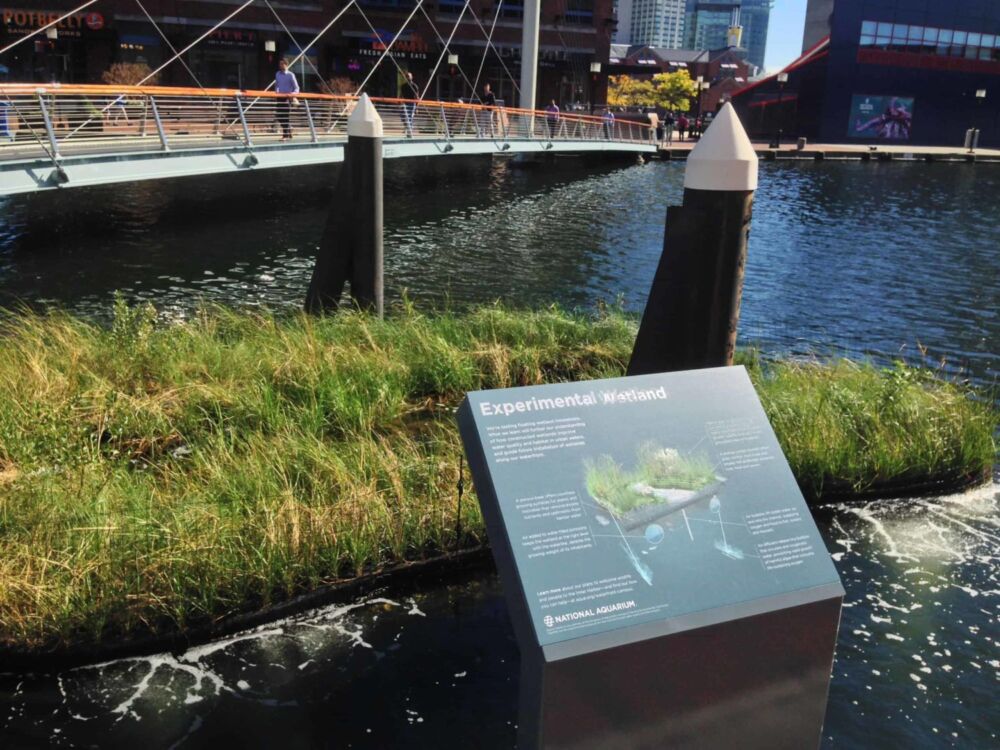 National Aquarium’s Floating Wetland Prototype, a McLaren Engineering Group Project