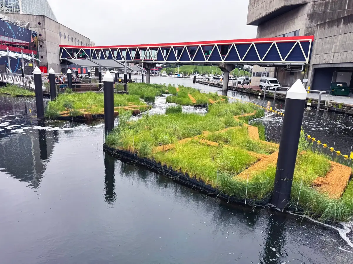 The Floating Wetland Habitat in Baltimore’s Inner Harbor Officially Opens