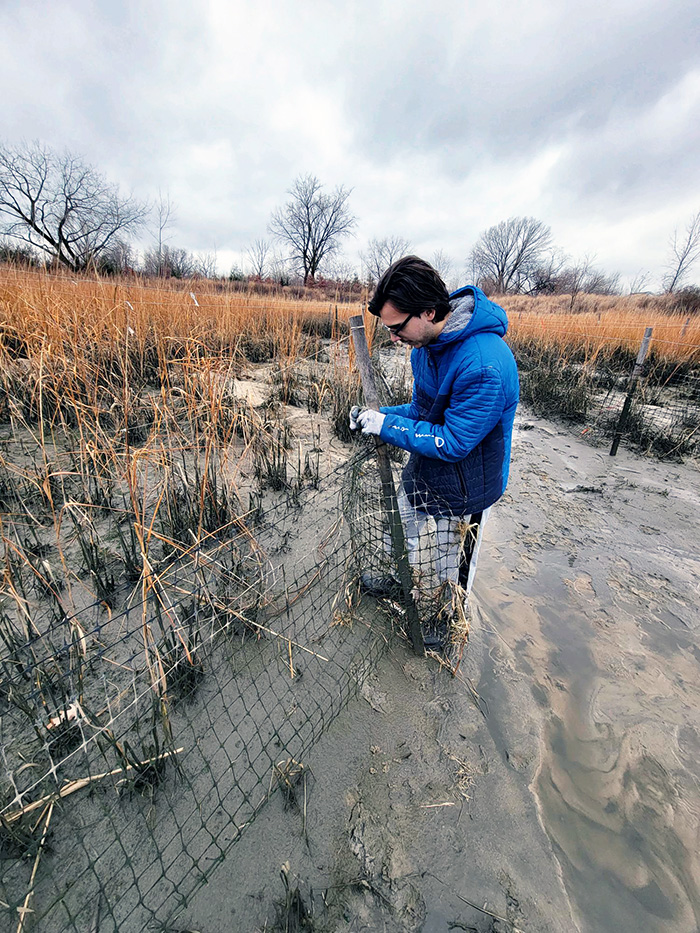 Saltmarsh Rehabilitation Volunteers at NYC Soundview Park - Amadeo Gjasta from McLaren Engineering Group