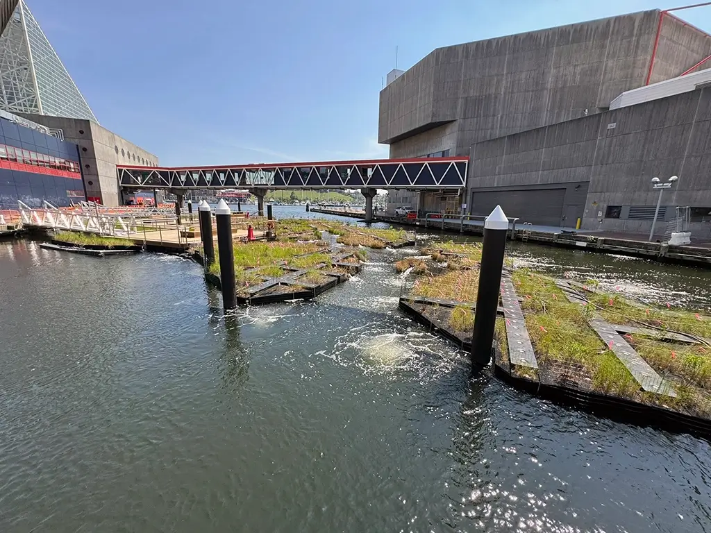 National Aquarium Floating Harbor Wetlands with plantings installed and water running through the environment